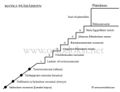 Pienoiskuva 15. helmikuuta 2009 kello 10.41 tallennetusta versiosta
