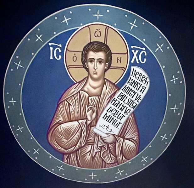 Tiedosto:Parraton tapiola b aw.jpg