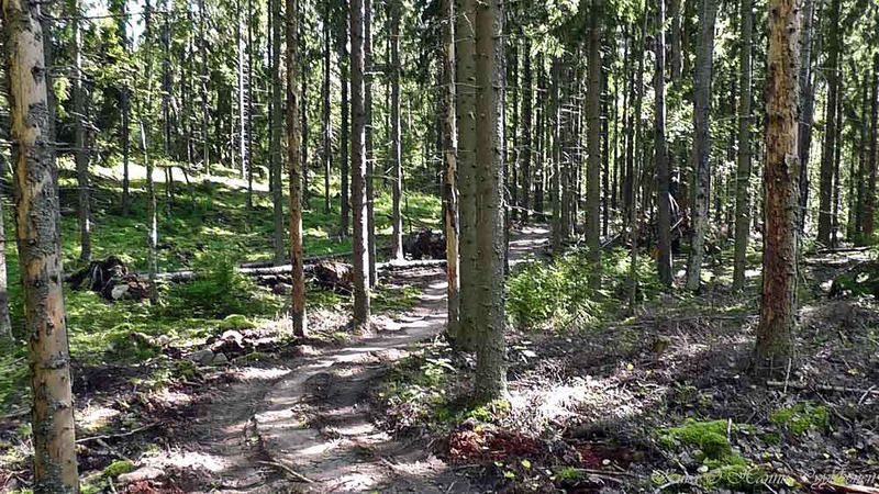 Tiedosto:11 skiittasaari06b hap.jpg