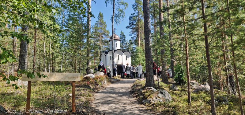 Tiedosto:Skiittasaari 11 hap.jpg