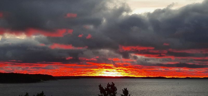 Tiedosto:Syystaivas heikki blinnikka.jpg